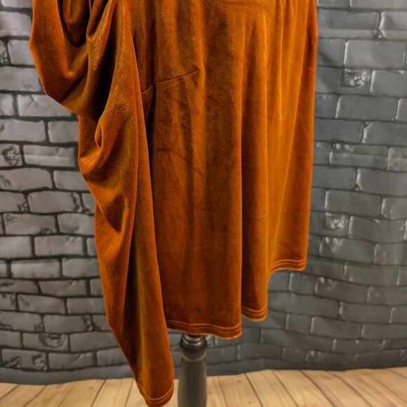 Rust Velvet Blouse with Long Puff Sleeves - Picture 3 of 5